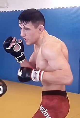 Damir Hadzovic